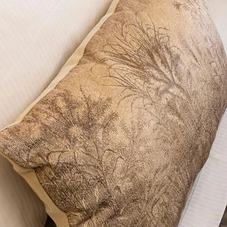 Briona דומודוסולה