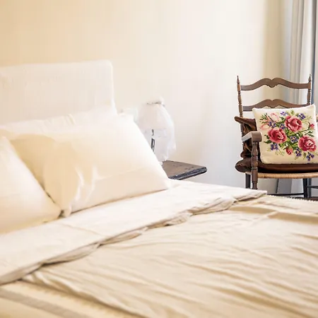 Briona דומודוסולה