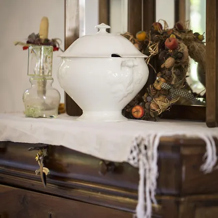 Briona דומודוסולה